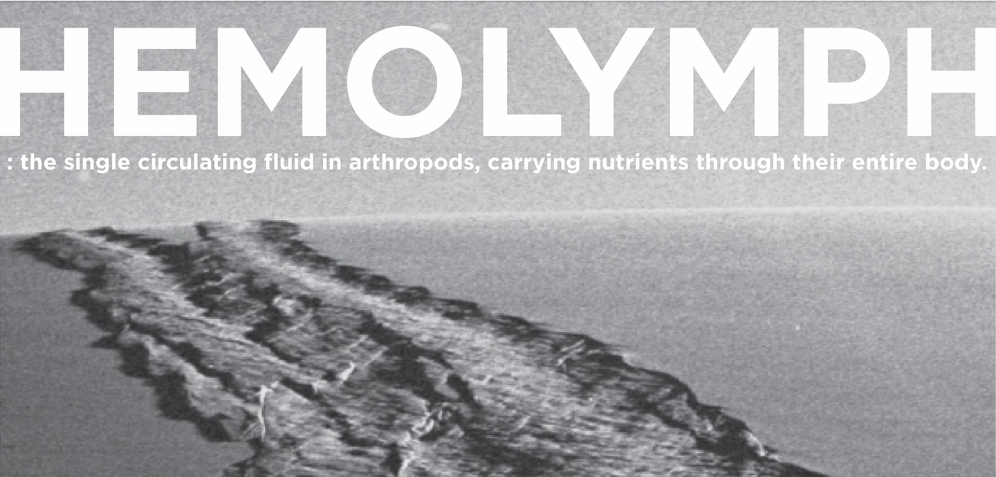 A gray landscape with a river and the exhibition title in large white text.