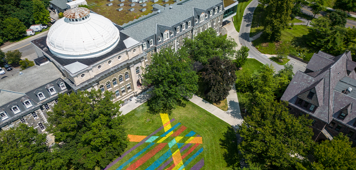 An aerial view of a building with a white dome, trees, and a green lawn painted with bright colors..