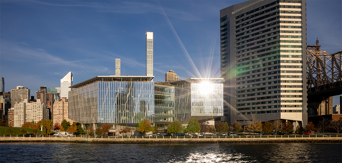 A series of buildings with water and a bridge.