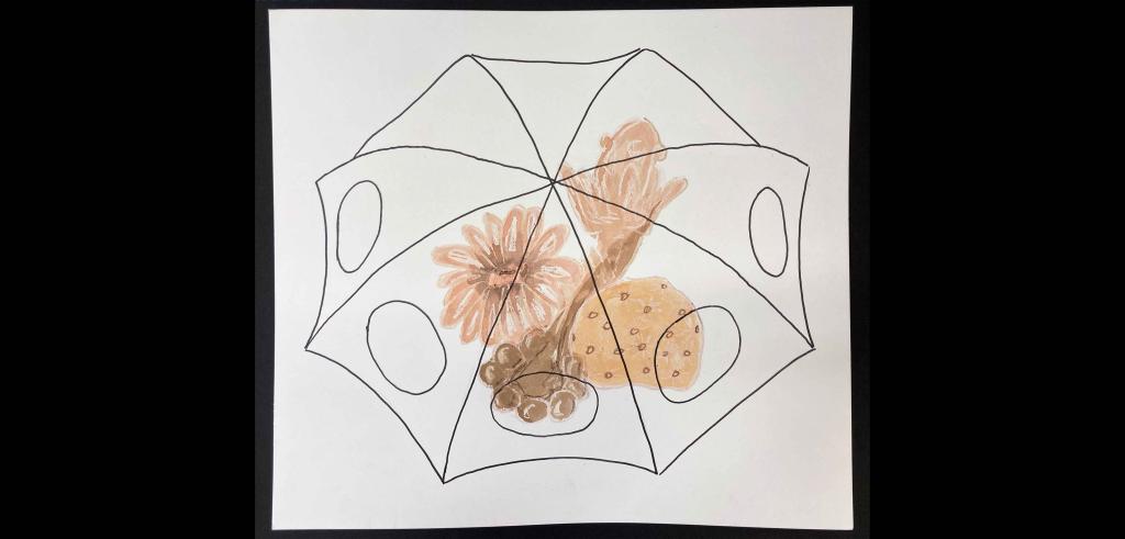 Drawing of different aquatic plants beneath an octagon pattern drawn in black on white background.