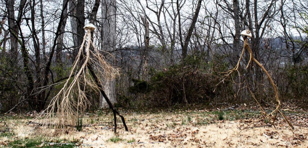 Color photo of wooden sculptures outdoors against a backdrop of bare trees and grey skies, with dried out grass in the foreground. 