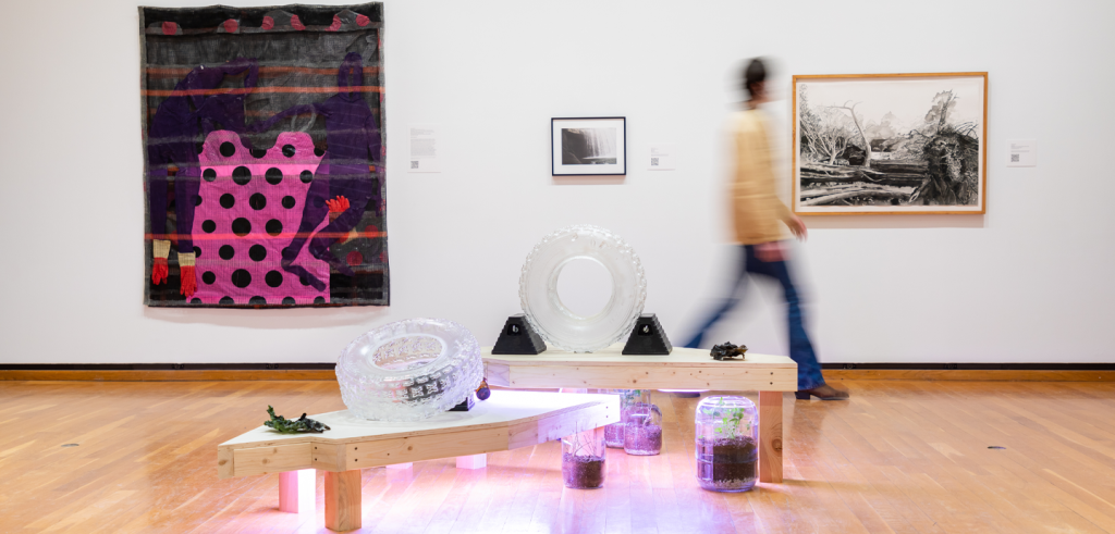 A person walking in an art gallery with glass tires, paintings, and plants with a purple light underneath a wooden bench.