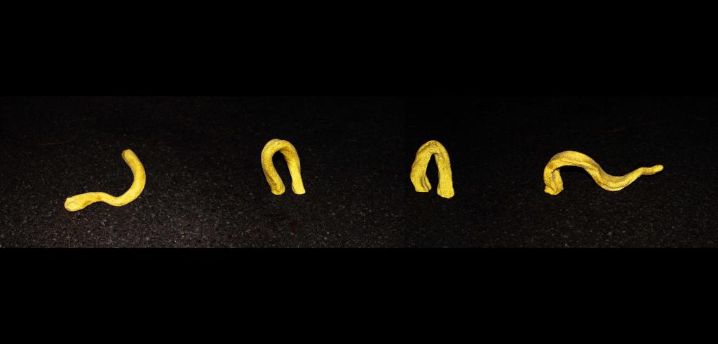 Four abstract yellow squiggle marks set against a dark grainy backdrop. 