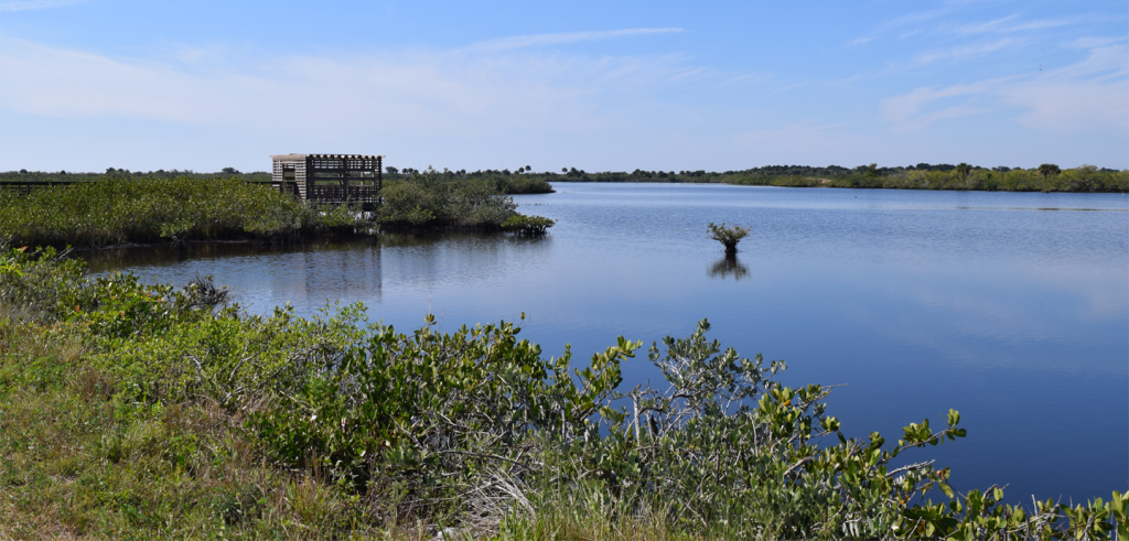 A building nestled in between shrubs next to water.