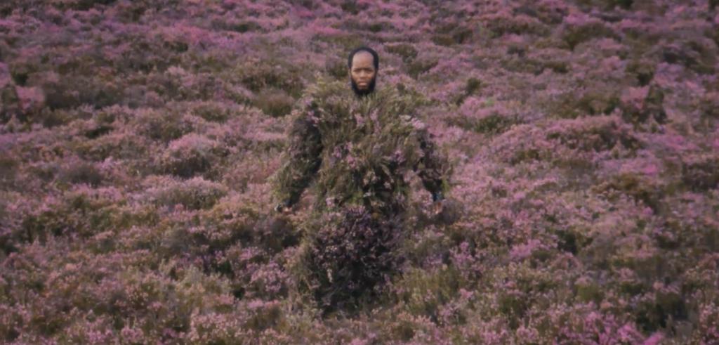 Person surrounded by a field of purple flowers with only their head uncovered.