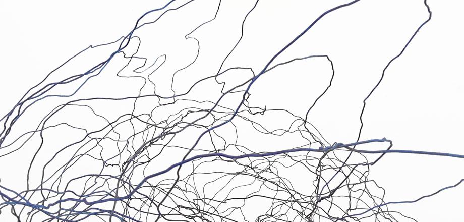 Dark blue and black squiggly lines on a white background.