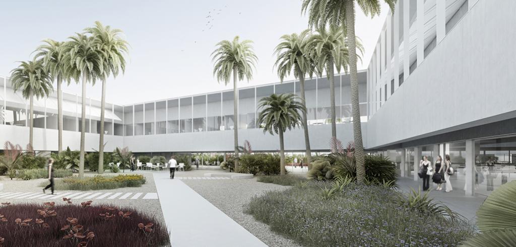 rendering of a courtyard with palm trees and open space with sidewalks surrounded by an elevated white building