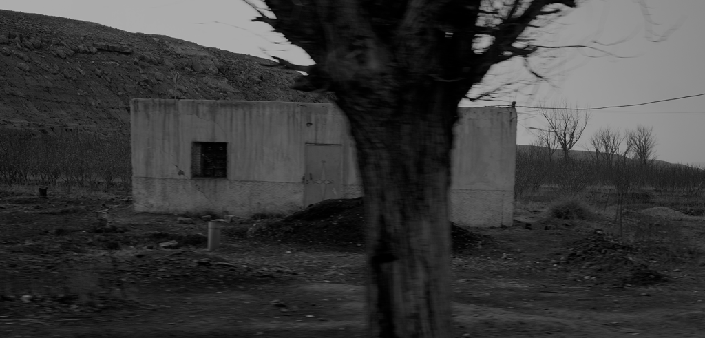 Black and grey image of an abandoned concrete shelter with a blurry barren tree in the foreground. 