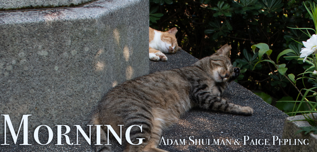 Atop a grey monument sits a tiger cat napping in the foreground and white and orang cat napping in the background. White text across the bottom of the image reads 