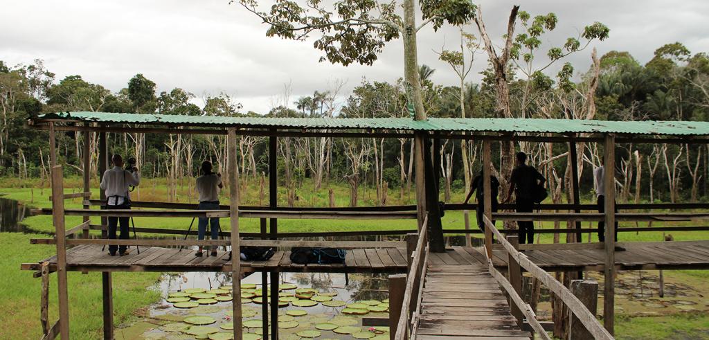 Riverine community outside of Manaus