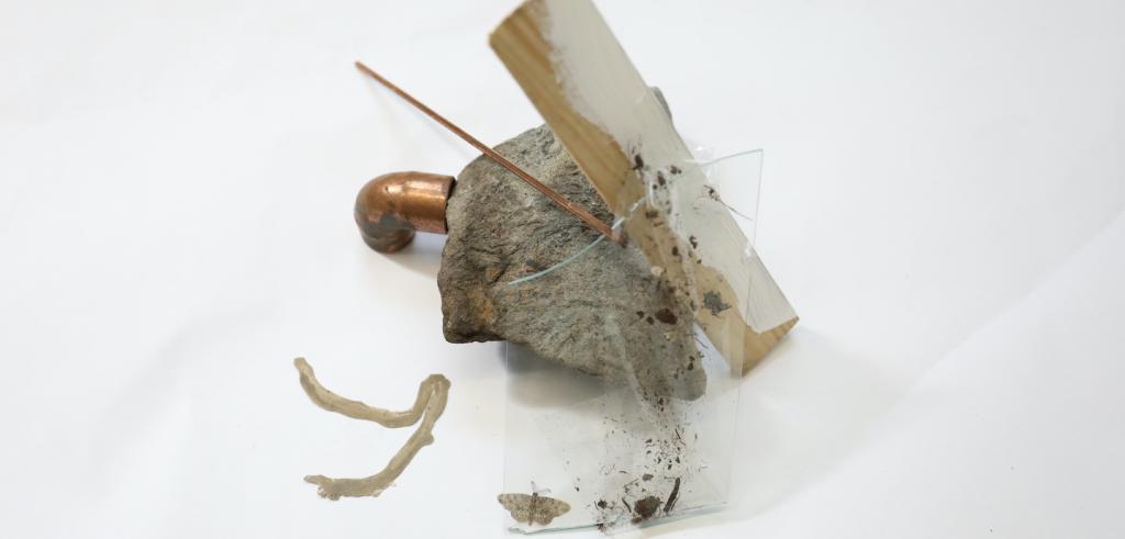 Piece of rock, wood, plastic, moth, copper pipe, and dirt in the middle of the image.