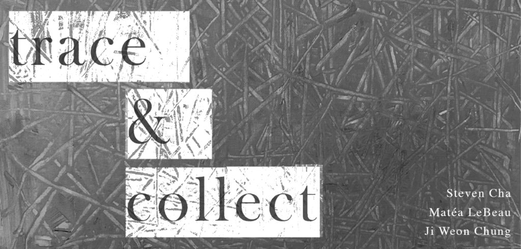 Black and white print of faded gray intersecting lines with the exhibition name Trace and Collect written in bold letters along with artist names.