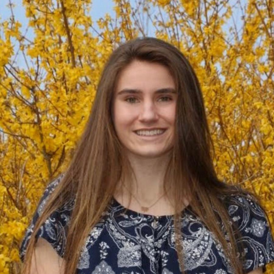 A headshot of a person with long brown hair and a blue shirt with yellow tree's in the background.