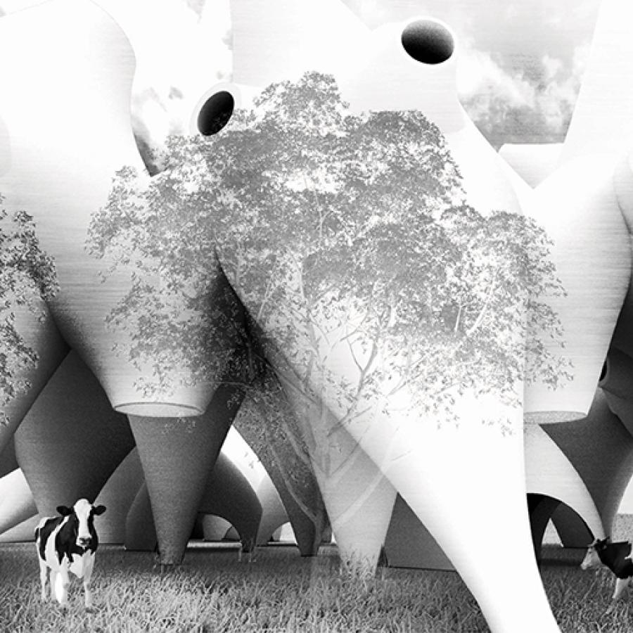 Bowling looking pins merged with openings for ventilation and light with cows circulating.