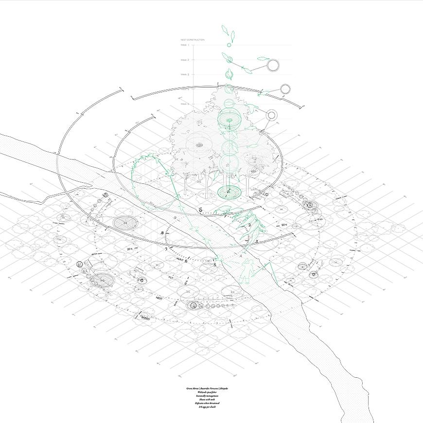 Layered map with trees, roads, circles, and curves along a grid. 