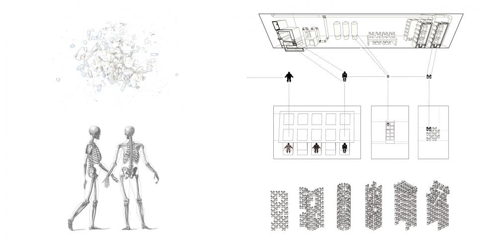 Drawing of two skeletons next to rectangular architectural studies. 