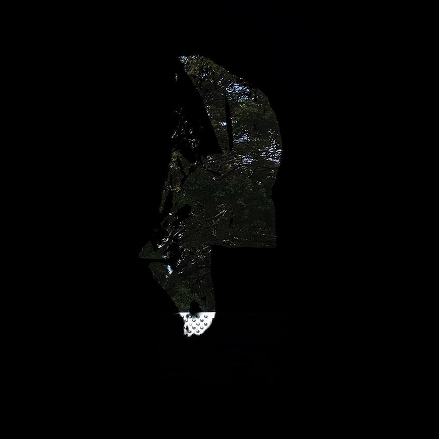 A solid black background with glimpses of shadowy trees through an abstract shape cut into the background.
