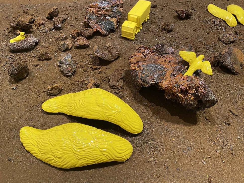 Brown dirt with rocks and random yellow figurines of two birds, a truck, and two other random items.