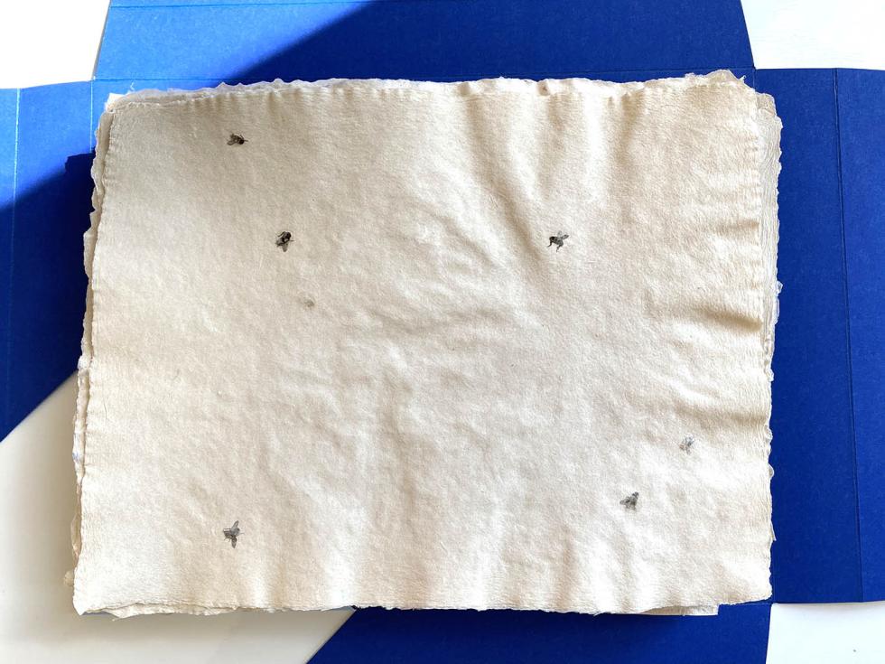 Five flies on layered white cloth against a blue background.