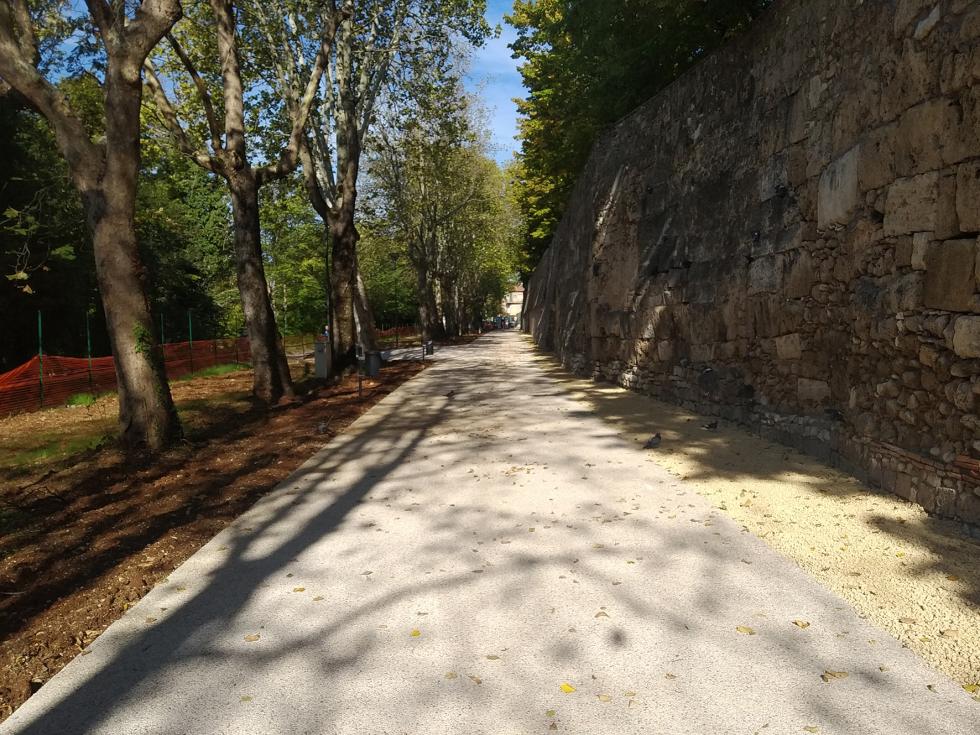 urban park pathway between trees and a stone wall