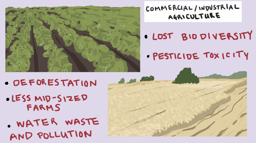 Hand drawn scenes depicting fields and farming that effect climate change with facts written next to them.