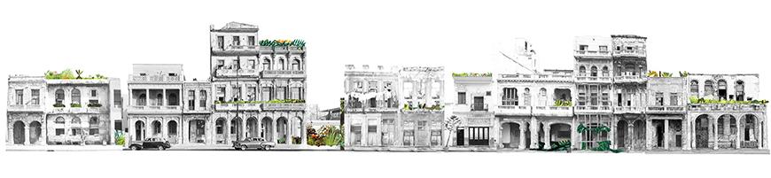 Collage of street elevations and facades of buildings in black and white photographs connected together with patches of greenery and vegetation collaged in. 