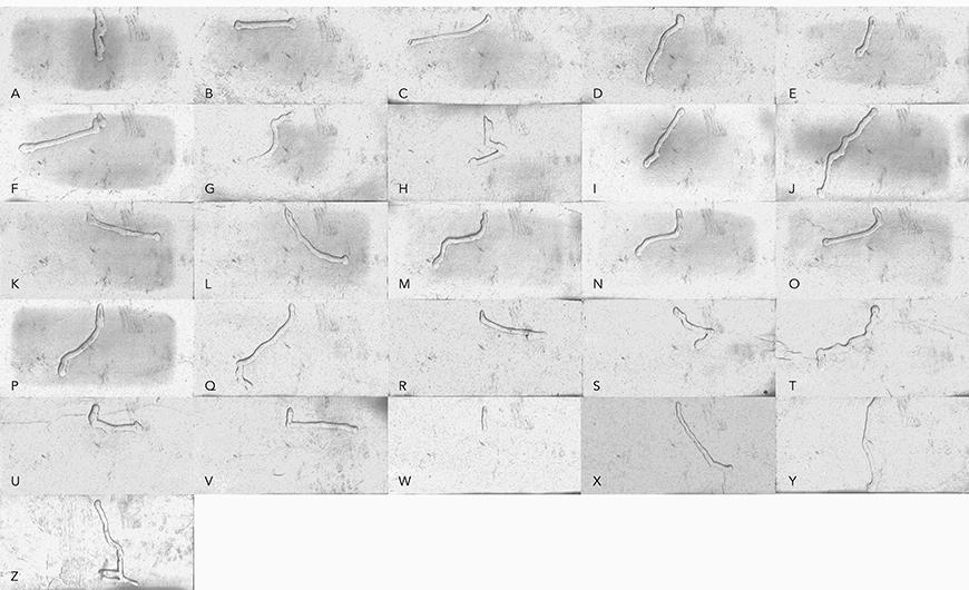 26 photographs of marks made by drawing machine, each corresponding to a letter of the alphabet.