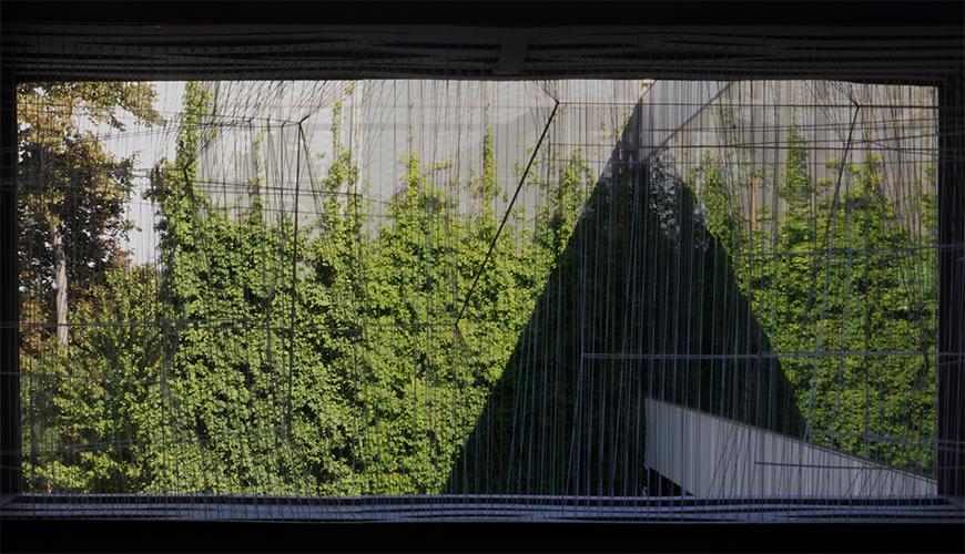 Photograph of 'transpiration' model seen placed on a window and looking through it at exterior full of green vegetation.