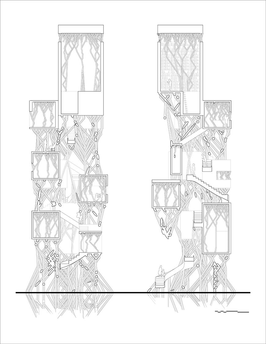 Black and white drawing of two different section cuts of the project.