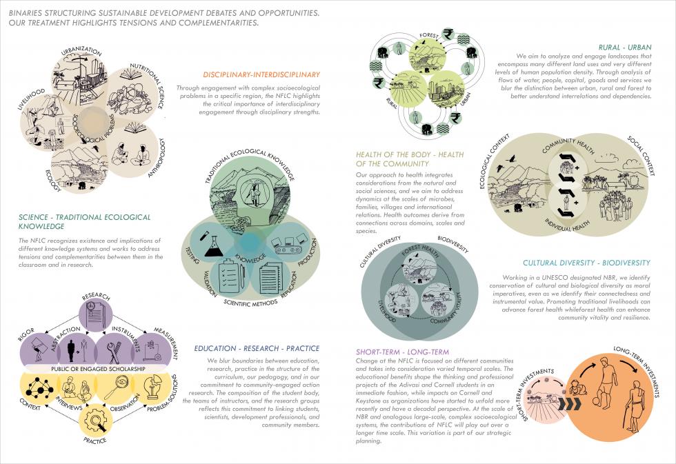 Info graphic highlighting binaries structuring sustainable debates from “Slow Conservation”