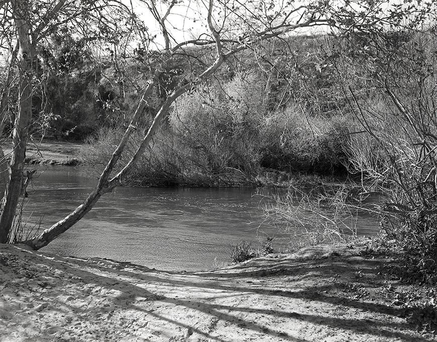A black and white river bank landscape, with trees arching towards the flowing river and dense shrubbery lining the far bank. 