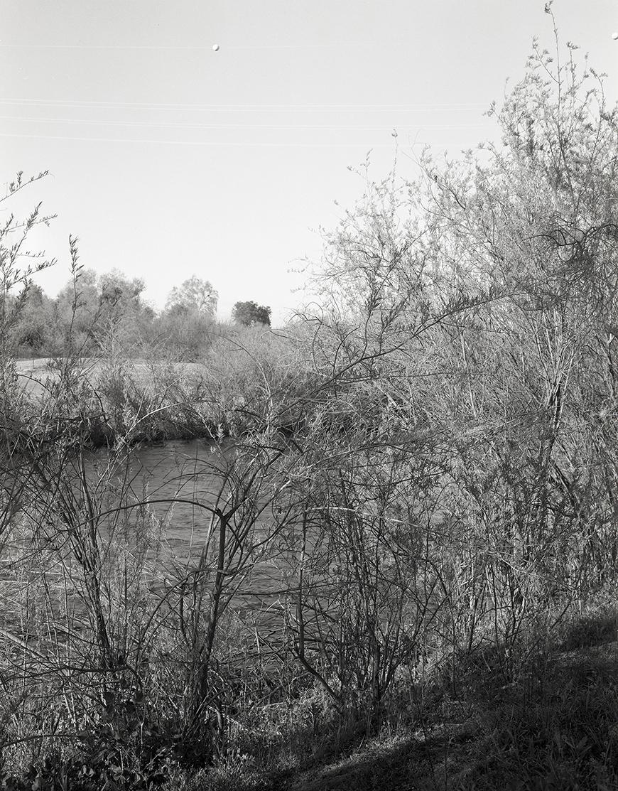 A black and white landscape of sparse shrubs lining the slope of a river bank. Across the river, trees rise up in the background.