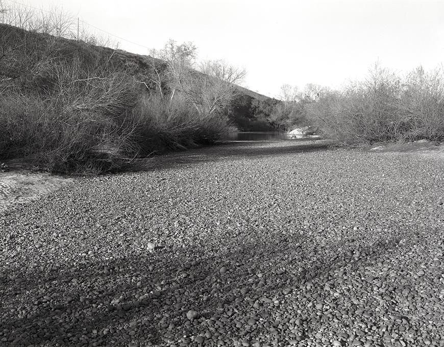 A black and white landscape of dense, barren trees and shrubs, with a river in the background and a hill off in the distance.