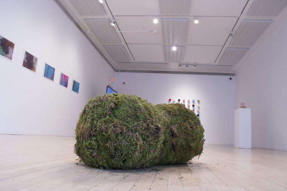 Two moss covered boulders on a light wooden floor with other artwork hung on the walls.
