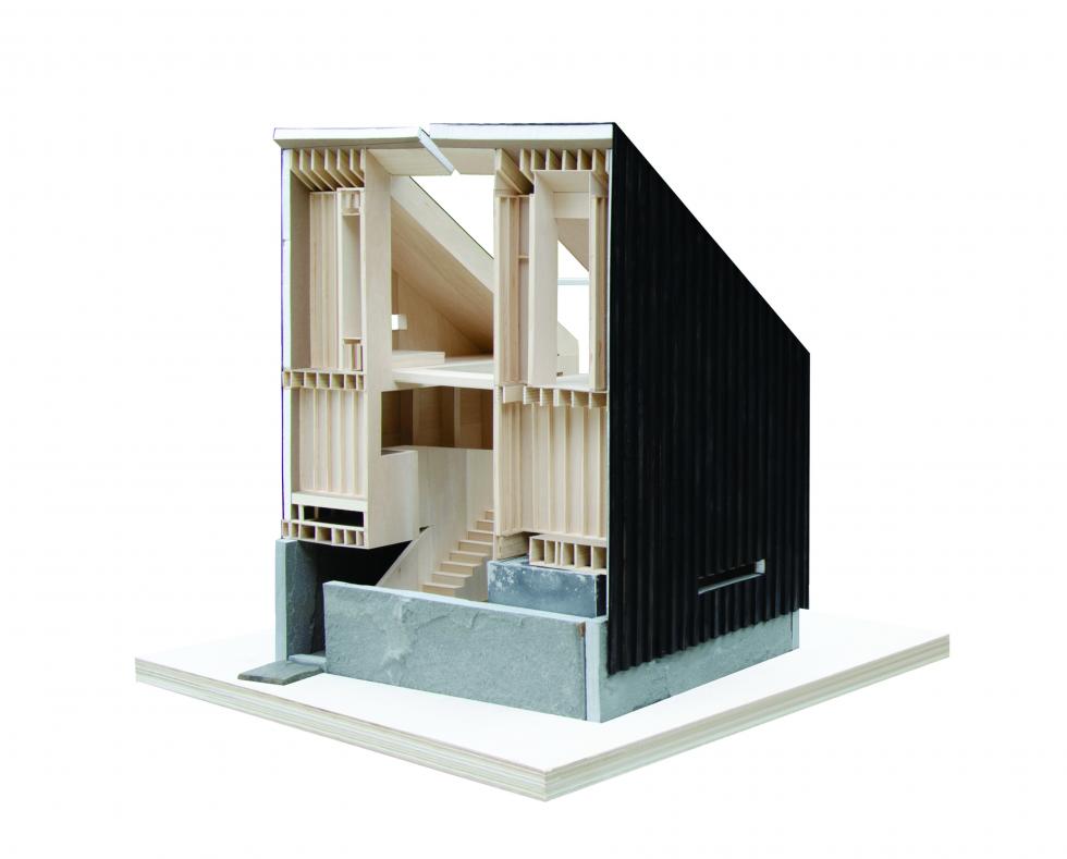 Photo of sectional model showing wood structure. 