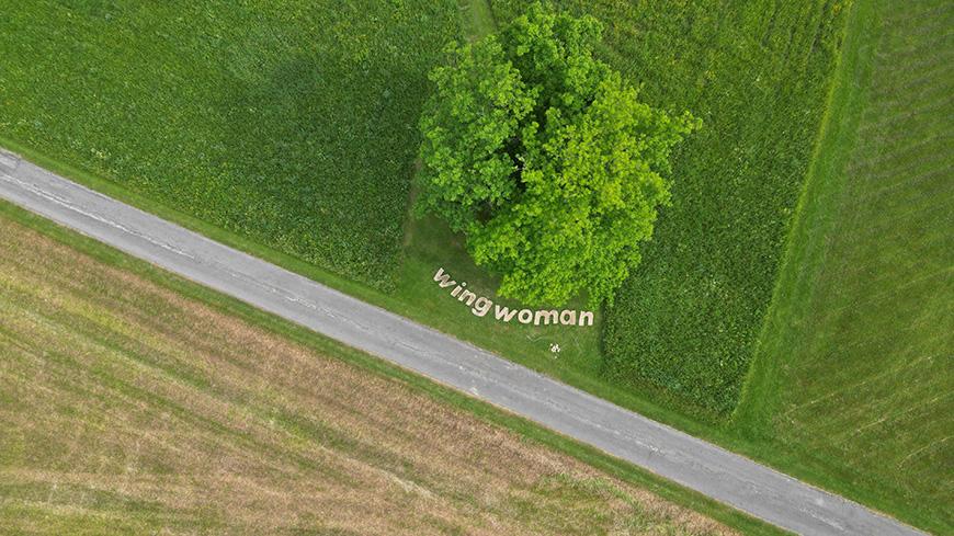 An aerial shot of a grassy field with a road running across the middle and a large tree with the words 