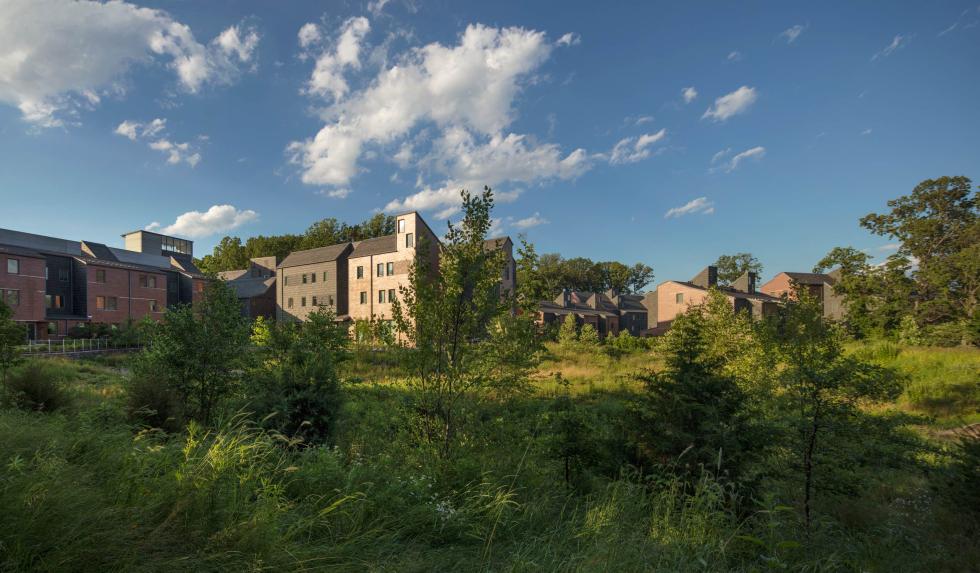  The image shows a group of modern, brick and slate buildings nestled within a lush, green landscape. The buildings are surrounded by tall grasses, shrubs, and trees, blending seamlessly into the natural environment. The sky is clear with a few scattered clouds, creating a peaceful and serene atmosphere. The overall scene combines the built environment with nature, suggesting a focus on sustainability and harmony with the surrounding landscape.