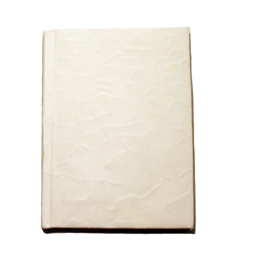 Photo of the front of a handbound book on a white background. The book's cover is cream colored and has an imperfect, organic texture. 