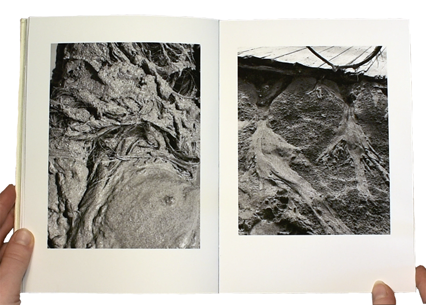 Scanned photo of a handmade photo book. Two black and white photographs of roots and sediment are printed on cream colored pages with thick margins, one photo per page.