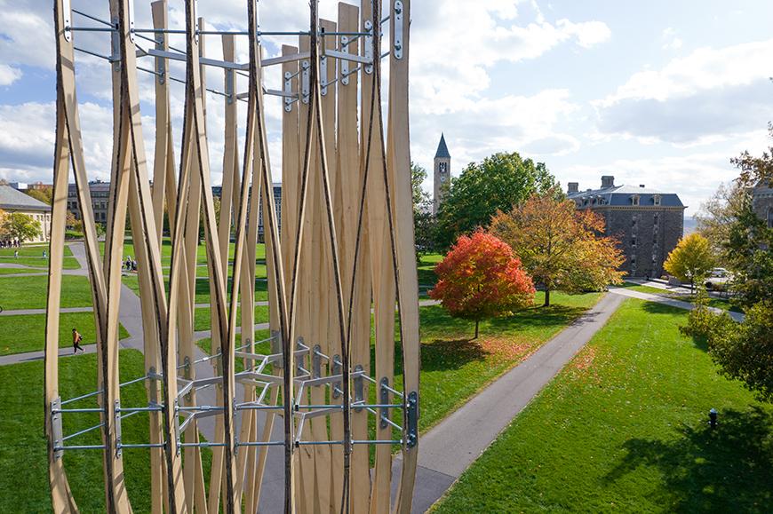 aerial view of a wooden sculpture on a university campus