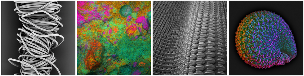 a series of four squares in a row depicting different shapes and colors