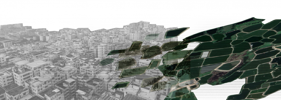 Collage aerial drawing with city grayscale under green vegetation