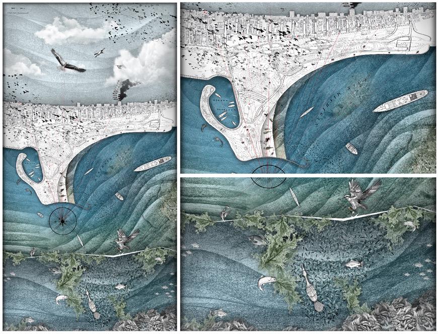 Illustration of lake levels and birds above. 