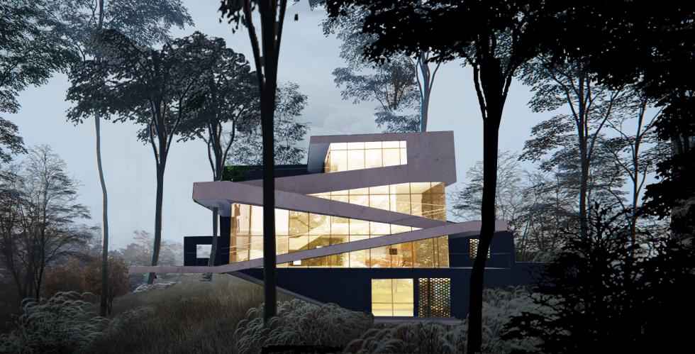 A modern house in the woods at dusk