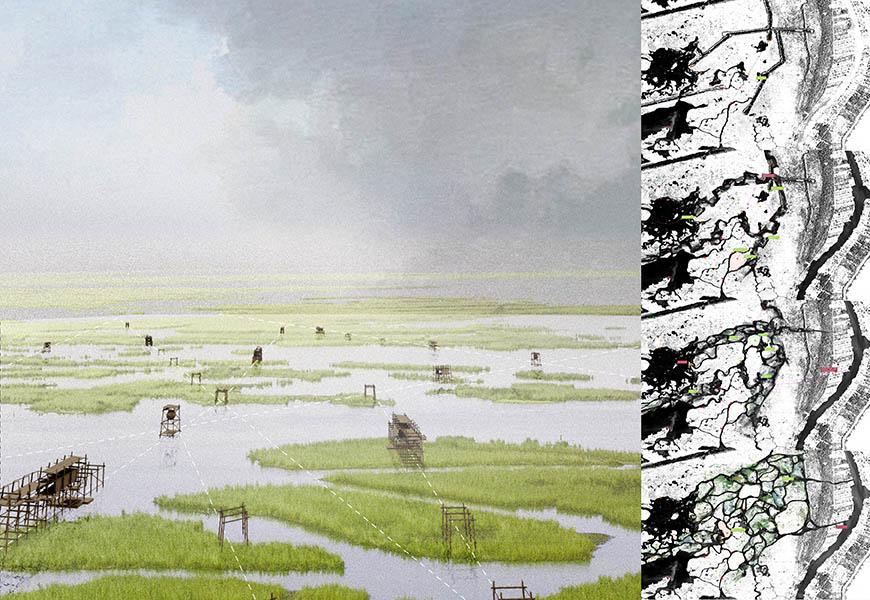Digital rendering of wetlands. 