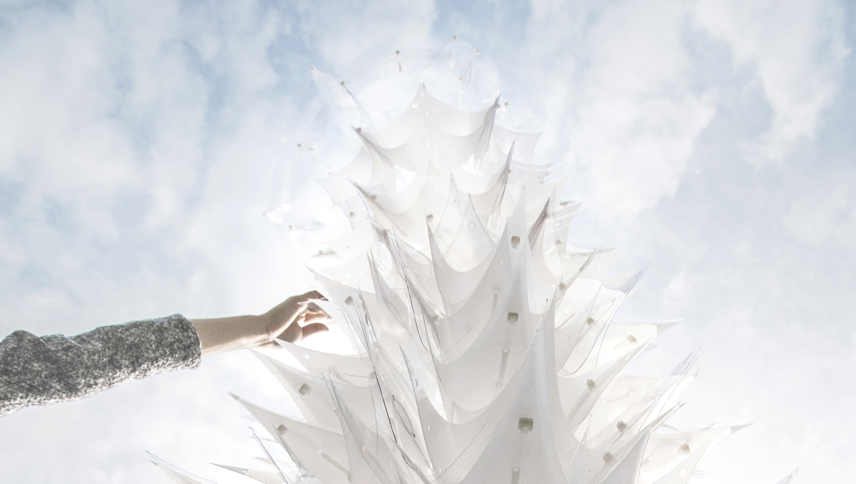 Loop Column Cornell AAP