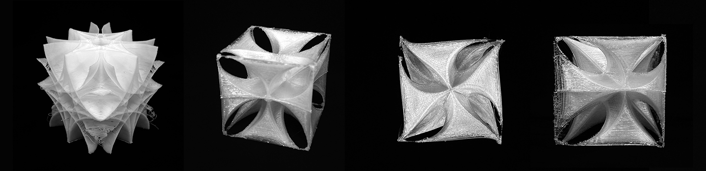 Adaptable Shell | Cornell AAP