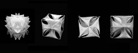 Adaptable Shell | Cornell AAP