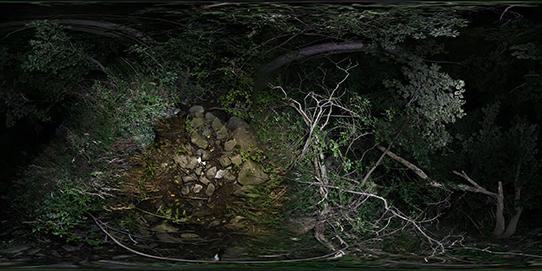 Landscape photograph of branches and leaves with a cave like structure in the center with rocks and dirt.
