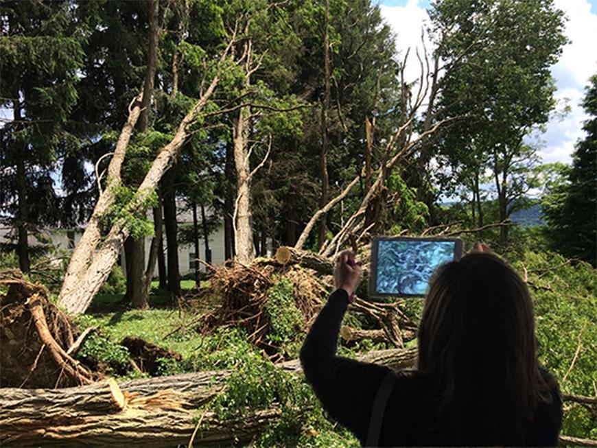 Woman viewing a forest scene through a tablet lens